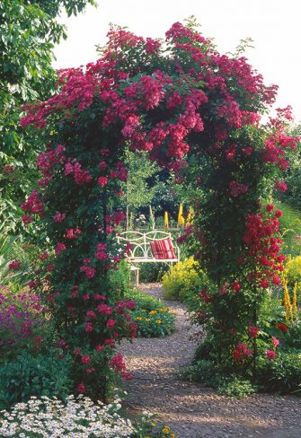 metal garden arch