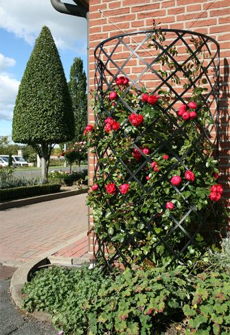 metal trellis