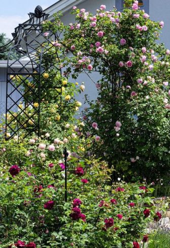 The Kiftsgate Gazebo by Classic Garden Elements in a private garden in Austria