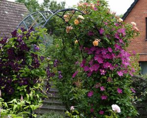 The Bagatelle Round-top Garden Arch. Galvanised & Powder Coated Steel.