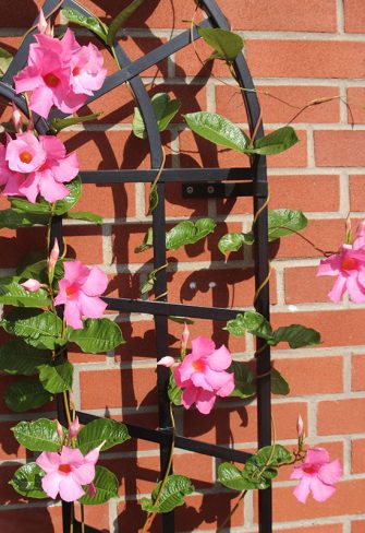 Close-up of a section of the Small Trompe-l’œil Wall Trellis by Classic Garden Elements