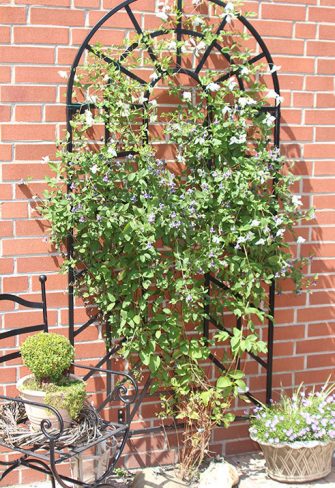 Small Trompe-l’œil Wall Trellis by Classic Garden Elements installed on a brick wall