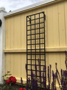 Modern Wall-Mounted Trellis. Made of steel. Galvanised & powder coated.