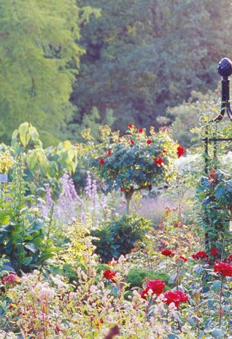 Three Classic Garden Elements rose obelisks in a border in early summer