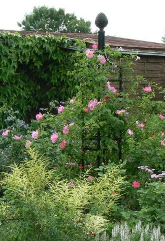 Garden Obelisk I by Classic Garden Elements in a cottage garden