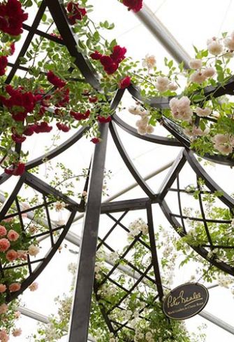 Stunning display of roses on the Lyme Park Wedding Gazebo by Classic Garden Elements