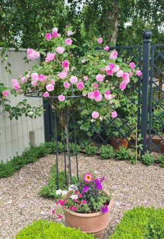 The Giverny Rose Umbrella Support by Classic Garden Elements in a private garden