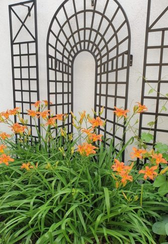 The Croome Treillage Panel Set by Classic Garden Elements surrounded by vibrant day lilies