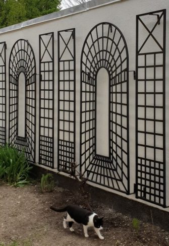 A cat walking past the Croome Treillage Panel Set by Classic Garden Elements