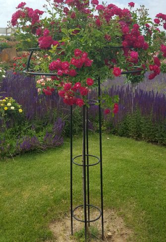 The Giverny Rose Umbrella Support by Classic Garden Elements