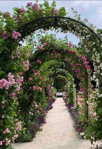 Bagatelle Round-Top Garden Arches covered in pink and white blossom