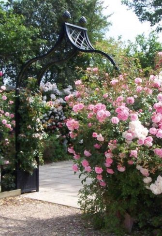 Freestanding Brighton Garden Arch with pine-cone finials, bedecked with Peter Beales roses