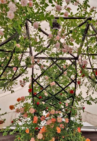 The Kiftsgate Gazebo at the Peter Beales Roses stand at Chelsea Flower Show