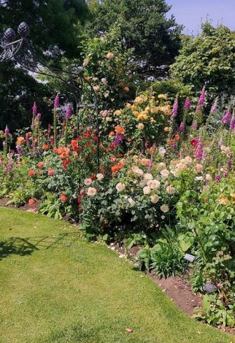 The Kiftsgate Victorian Rose Arch by Classic Garden Elements in the rose garden of Peter Beales Roses