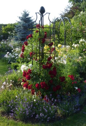 'Obelisk II' by Classic Garden Elements with rambler 'Crimson Siluetta'