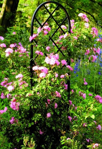 A Classic Garden Elements Beekman Garden Obelisk in a perennial flower garden