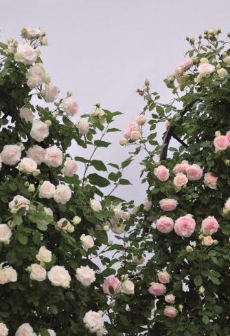 Beekman Garden Obelisk by Classic Garden Elements covered in roses