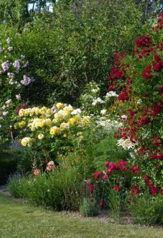 Rose arch Portofino and Obelisk II from Classic Garden Elements Summer picture