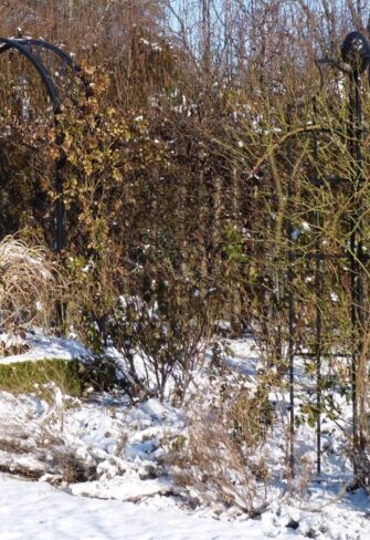 Rose arch Portofino and Obelisk II from Classic Garden Elements Winter picture