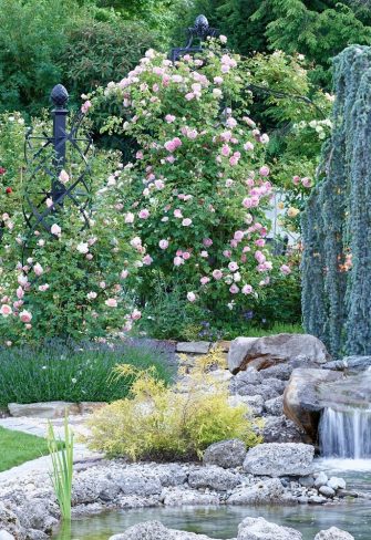 A Classic Garden Elements Charleston Rose Obelisk and Kiftsgate Gazebo in an English rose garden in Liezen, Austria