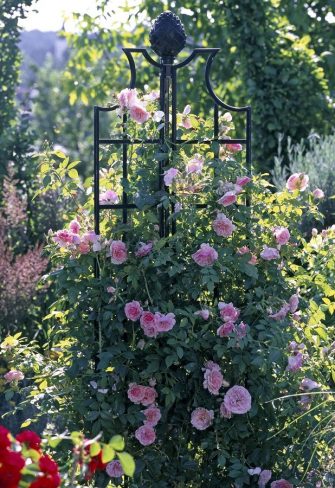 Rose Obelisk II by Classic Garden Elements in black