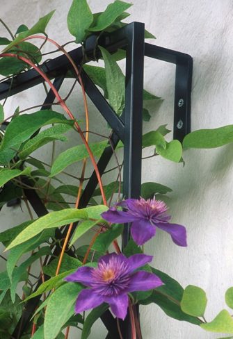 Close-up of the De Rigueur Wall Trellis and mounting brackets