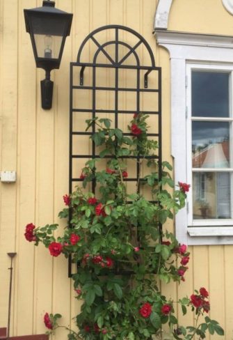 Orangery Wall Trellis covered in red climbing roses on a house in Sweden