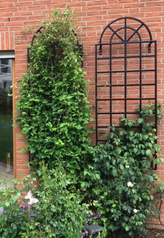 The Orangery Wall Trellis by Classic Garden Elements covered in clematis and climbing roses