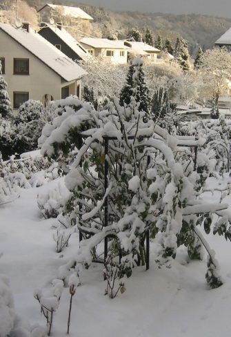 The Jean Vibert Plant Support by Classsic Garden Elements, covered in snow in winter