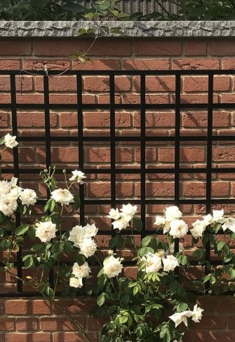 Large Modern Wall Trellis by Classic Garden Elements installed horizontally and covered with white roses