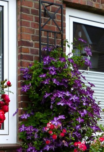 The Espalier Metal Garden Trellis on a red-brick wall