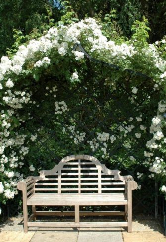 The Victorian Rose Arbour by Classic Garden Elements, covered in the rose 'Rambling Rector' at Peter Beales Roses in Attleborough