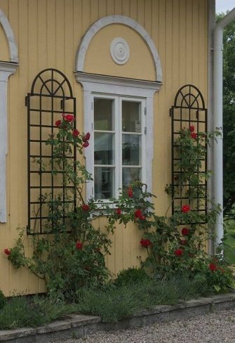 Two Orangery-style metal wall trellises planted with red roses on a yellow façade