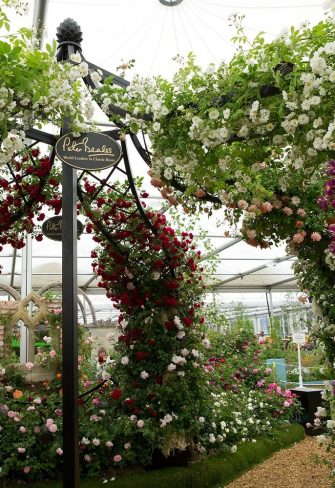 The Lyme Park Wedding Gazebo by Classic Garden Elements covered with pink and white roses at the Chelsea Flower Show