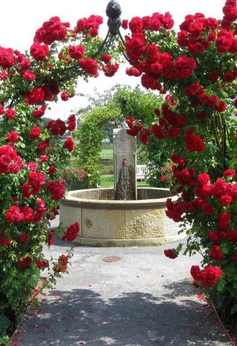 The Kiftsgate Victorian Rose Arch by Classic Garden Elements, covered in climbing rose 'Amadeus' by Kordes, near fountain