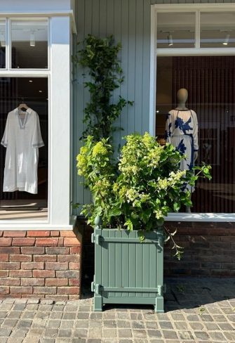 Caisse de Versailles in Bicester Village with panicle hydrangeas