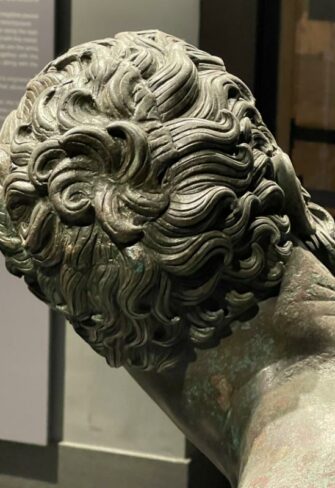 Boxer at Rest – Intricacies of Hair Curls (Capilli) © Classic Garden Elements