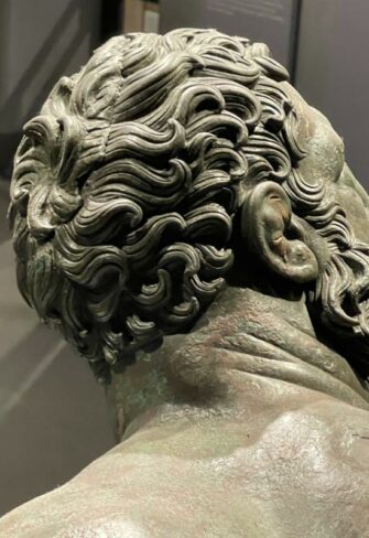 Boxer at Rest – Intricacies of Hair Curls (Capilli) © Classic Garden Elements